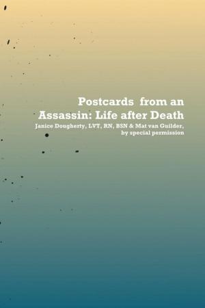 Cover of the book Postcards from an Assassin: Life After Death by Felicia Etim
