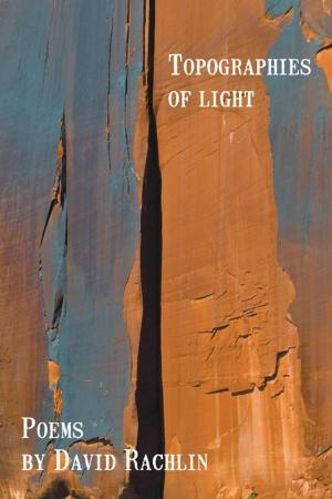 Cover of the book Topographies of Light by Raechel Rivers