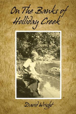 Book cover of On the Banks of Holliday Creek