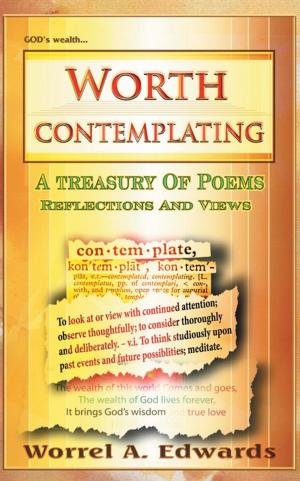 Book cover of Worth Contemplating