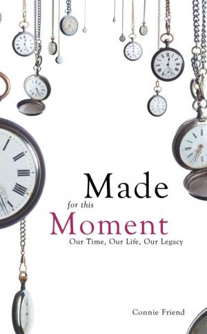 Cover of the book Made for This Moment by Helena Allard
