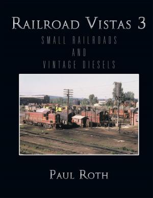 Cover of the book Railroad Vistas 3 by Amy Johnson
