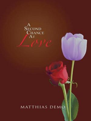 Cover of the book A Second Chance at Love by Laurens Holmes Jr., Franklin Opara