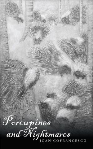 Cover of the book Porcupines and Nightmares by Jake Jacobson