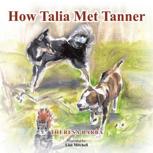 Cover of the book How Talia Met Tanner by C.S. Grady