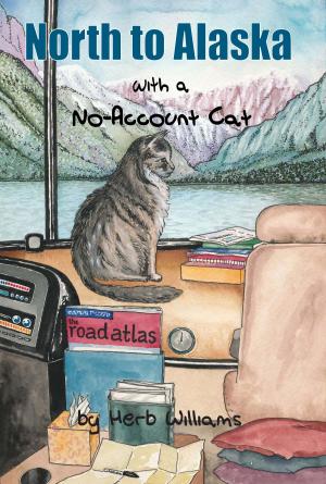 Cover of the book North to Alaska with a No-Account Cat by Stephanie Brochinsky