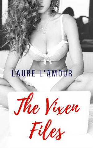 Book cover of The Vixen Files
