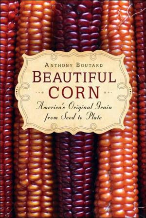 Cover of the book Beautiful Corn: Americas Original Grain from Seed to Plate by Jay Walljasper and Project for Public Spaces