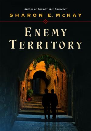 Cover of the book Enemy Territory by Jean-Claude van Rijckeghem, Pat van Beirs