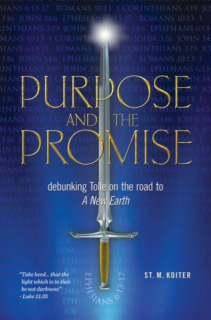 Cover of the book Purpose and the Promise by Marianne Novoselac