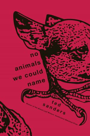 Cover of the book No Animals We Could Name by Benjamin Percy