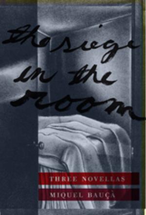 Book cover of The Siege in the Room