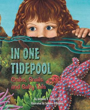 Cover of the book In One Tidepool by Jeannine Atkins