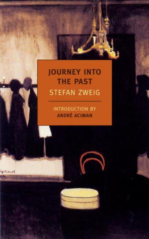 Cover of the book Journey Into the Past by Gregor Von Rezzori