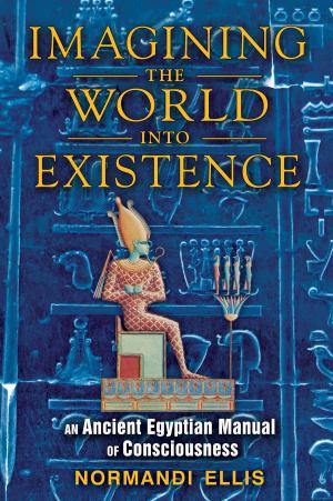 Book cover of Imagining the World into Existence