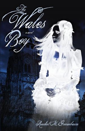 Book cover of The Wales Boy