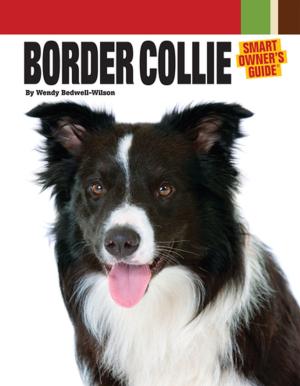 Cover of the book Border Collie by Jack Byard
