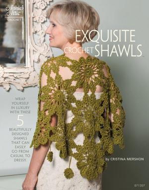 Cover of the book Exquisite Crochet Shawls by Denise Layman