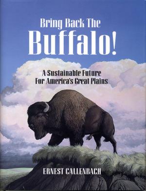 Cover of the book Bring Back the Buffalo! by Marco Festa-Bianchet, Steeve D. Côté