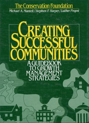 Cover of the book Creating Successful Communities by Lane H. Kendig, Bret C. Keast