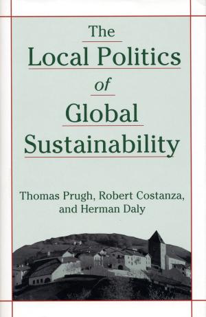 Cover of the book The Local Politics of Global Sustainability by Daniel Solomon
