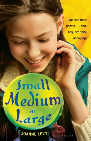 Cover of the book Small Medium at Large by Professor Oddbjørn Leirvik