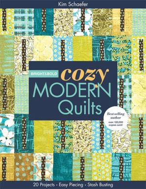 Cover of the book Bright & Bold Cozy Modern Quilts by Don Linn