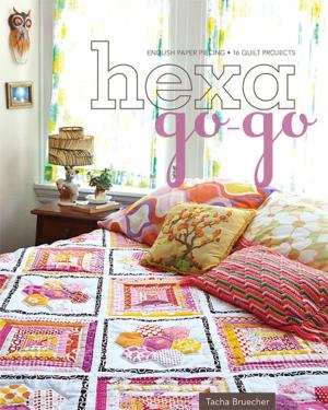 Cover of the book Hexa-Go-Go by C&T Publishing