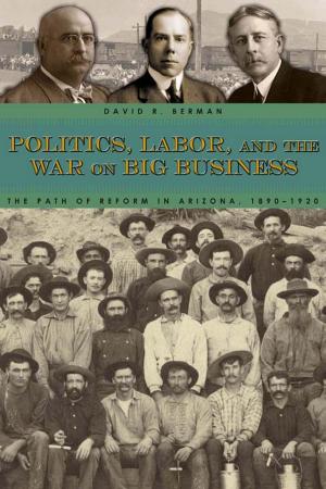 Cover of the book Politics, Labor, and the War on Big Business by Michael A. Amundson