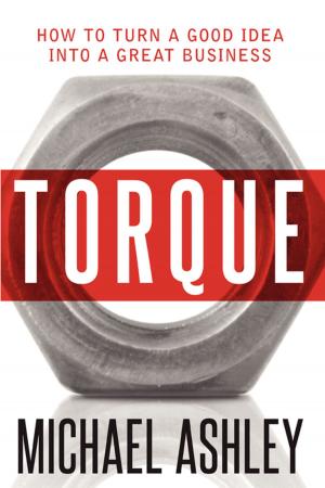 Cover of the book Torque by DH Steppler