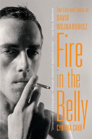 Cover of the book Fire in the Belly by Миша Бастер