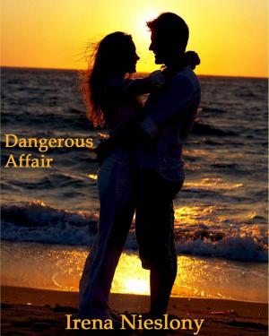 Cover of the book Dangerous Affair by Ammanda McCabe