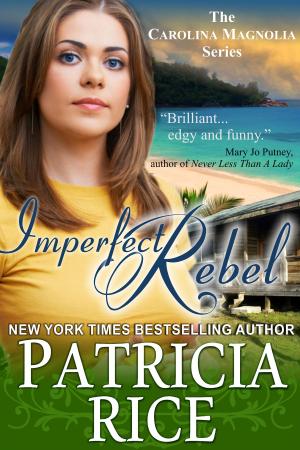 Cover of the book Imperfect Rebel by Judith Tarr
