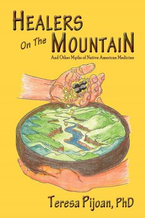 Cover of the book Healers on the Mountain by Alessandra Comini