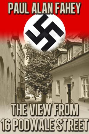 Book cover of The View from 16 Podwale Street