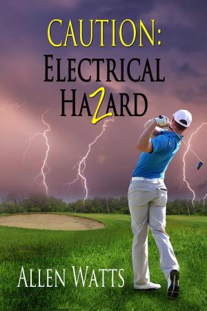 Cover of the book Caution: Electrical Hazard by Margaret Blake