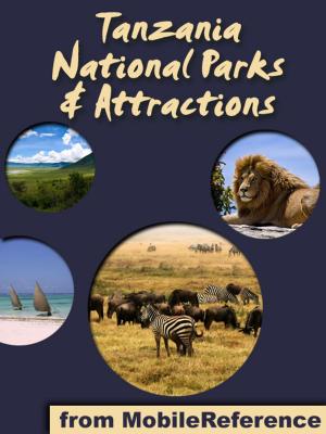 Book cover of National Parks & Attractions in Tanzania: a travel guide to the top 15+ national parks & attractions in Tanzania, Africa