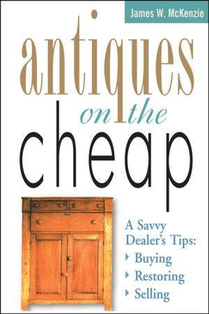 Cover of the book Antiques on the Cheap by Imke Johannson