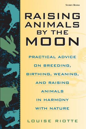 bigCover of the book Raising Animals by the Moon by 