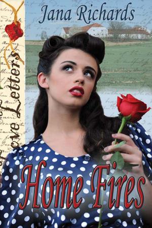 Book cover of Home Fires