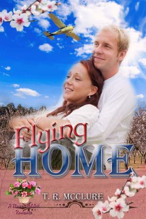Cover of the book Flying Home by Allie Standifer