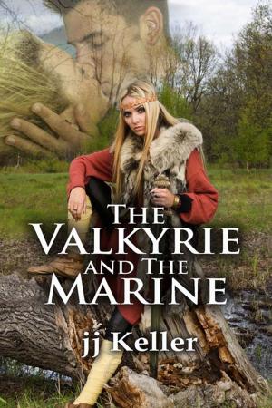 Cover of the book The Valkyrie and the Marine by Bonnie  Hobbs