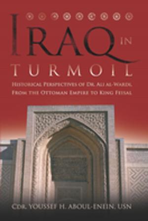 Cover of the book Iraq in Turmoil by Robin Higham