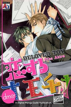 Cover of Beloved Toy