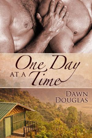 Cover of the book One Day at a Time by Robert P. Rowe
