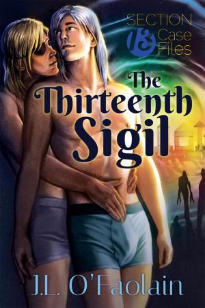 Cover of the book The Thirteenth Sigil by CJane Elliott