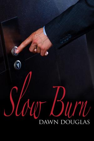 Cover of the book Slow Burn by TJ Klune