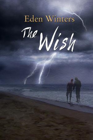 Cover of the book The Wish by Eli Easton