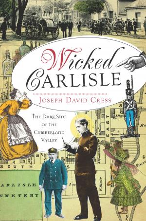 Cover of the book Wicked Carlisle by Edward J. Levine