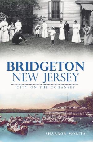 Cover of the book Bridgeton, New Jersey by Dominic Candeloro, Barbara Paul